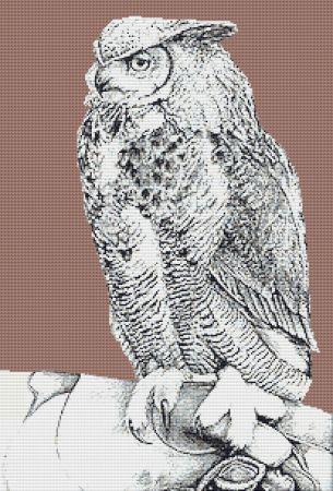 click here to view larger image of Owl On Glove (chart)