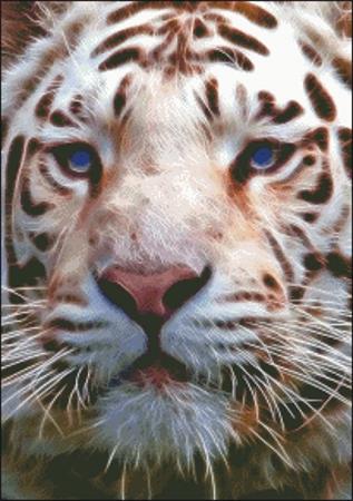 click here to view larger image of Small Fractal White Tiger (chart)