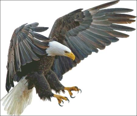 click here to view larger image of Eagle In Flight (chart)