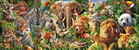 click here to view larger image of Animal Mix Panorama (chart)
