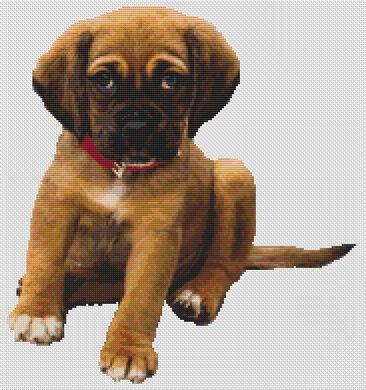 click here to view larger image of Boxer Puppy (chart)