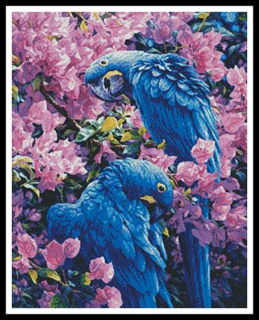click here to view larger image of Hyacinth Macaws (chart)