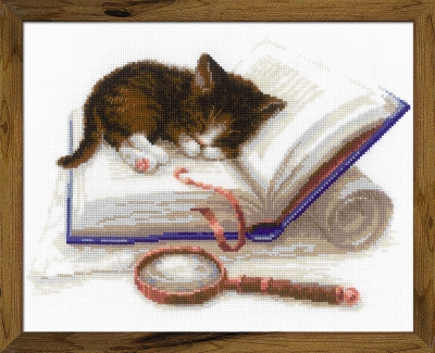 Kitten on the Book