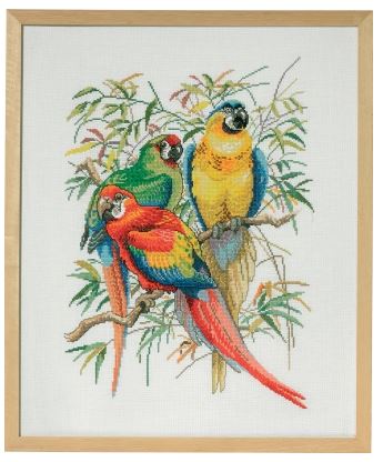 click here to view larger image of Parrot Trio - 14ct (counted cross stitch kit)
