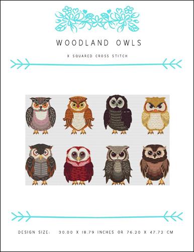 click here to view larger image of Woodland Owls (chart)