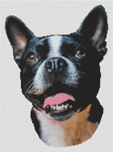 click here to view larger image of Boston Terrier Smile (chart)