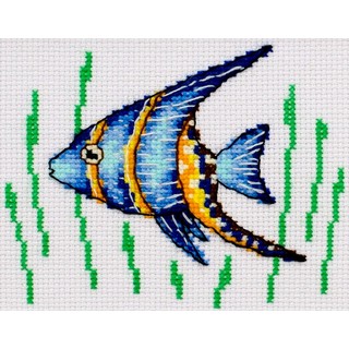 Fish - 0223