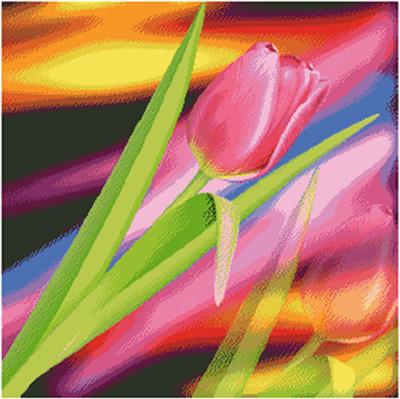 Tulip Fractal