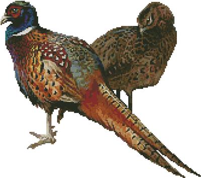 click here to view larger image of Pheasants (No Background) (chart)