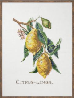 click here to view larger image of Citrus Limon (Lemon) (counted cross stitch kit)