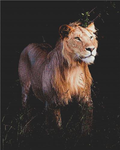 click here to view larger image of Majestic Lion (chart)