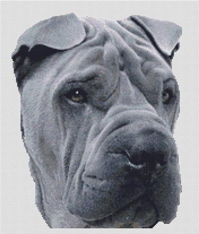 click here to view larger image of Blue Shar Pei (chart)
