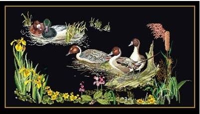 click here to view larger image of Ducks in the Marsh - Black Aida (counted cross stitch kit)