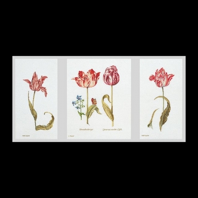 click here to view larger image of Tulips (counted cross stitch kit)