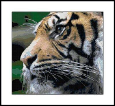 click here to view larger image of Bengal Tiger (chart)