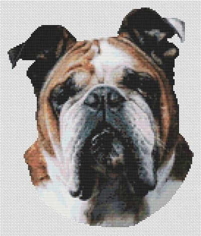 click here to view larger image of Butch - Bulldog (chart)