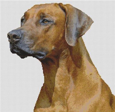 click here to view larger image of Rhodesian Ridgeback (chart)
