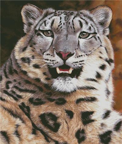 click here to view larger image of Snow Leopard Close Up (Large) (chart)