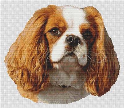 click here to view larger image of Blenheim Cavalier King Charles Spaniel 2 (chart)