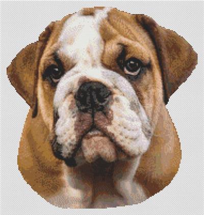 click here to view larger image of Brown & White Bulldog (chart)