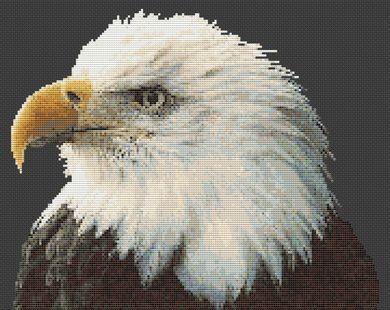 click here to view larger image of Majestic Bald Eagle (chart)