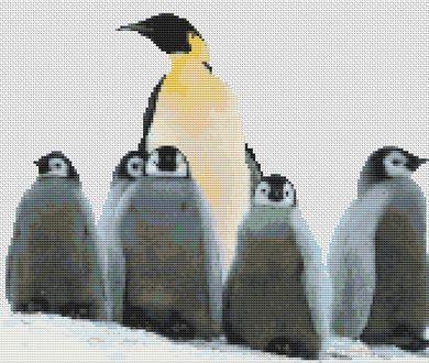 click here to view larger image of Penguin Family (chart)