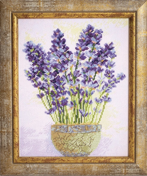 Lavender