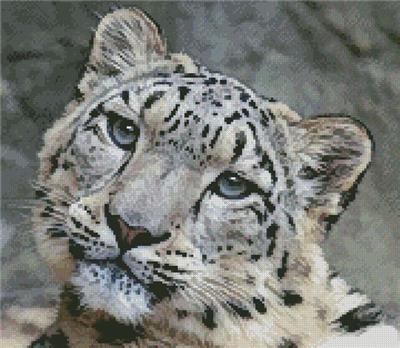 Snow Leopard 3 (Mini)