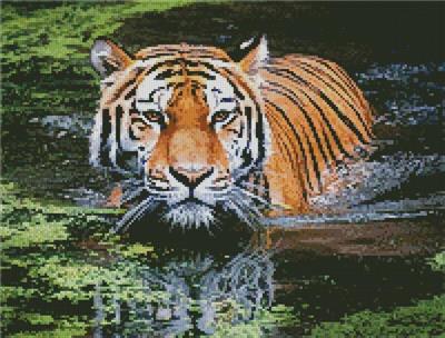 Tiger in Swamp/Mini