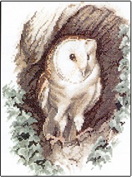 click here to view larger image of Barn Owl (chart)