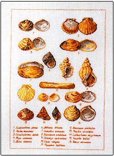 click here to view larger image of Seashells (counted cross stitch kit)