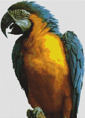 click here to view larger image of Blue Macaw (chart)