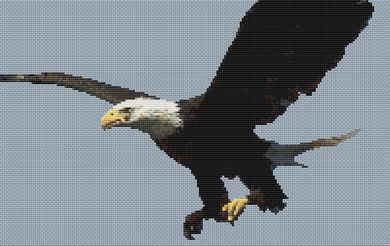 click here to view larger image of Bald Eagle 2 (chart)