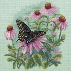 Butterfly & Daisies  