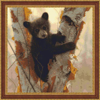 click here to view larger image of Curious Cub (chart)