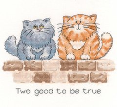 Two Good To Be True 