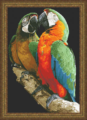 click here to view larger image of Macaws (chart)