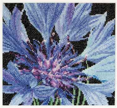 click here to view larger image of Cornflower (counted cross stitch kit)