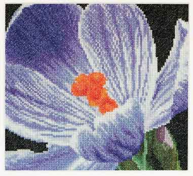 click here to view larger image of Crocus (counted cross stitch kit)