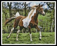 click here to view larger image of Arabian Horse (chart)