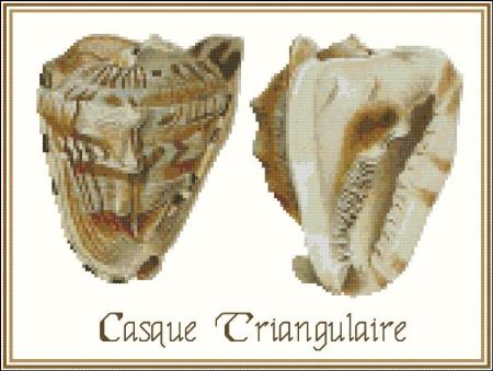 click here to view larger image of Shell Casque Triangulaire 2 (chart)