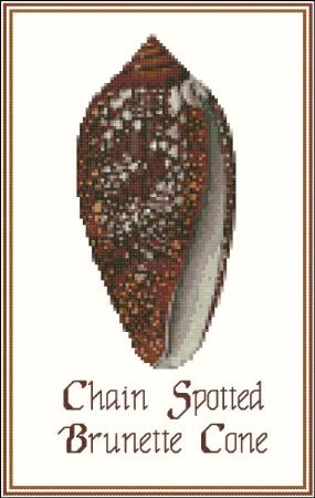click here to view larger image of Shell Chain Spotted Brunette Cone (chart)