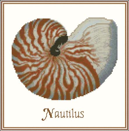click here to view larger image of Shell Nautilus (chart)