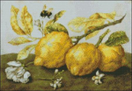 click here to view larger image of Garzoni - Three Lemons with a Bee (chart)
