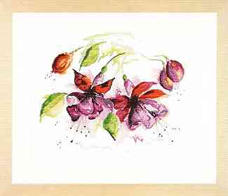 click here to view larger image of Fuchsia (counted cross stitch kit)