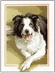 click here to view larger image of Border Collie Dog  (counted cross stitch kit)