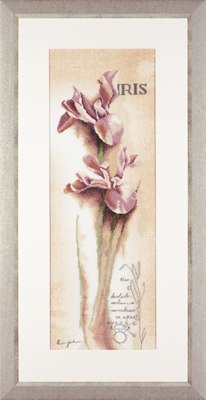 Iris Botanical - 30ct