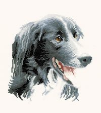 click here to view larger image of Todd - Animal Portraids (counted cross stitch kit)