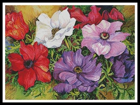 click here to view larger image of Colourful Anemonies  (Joanne Porter) (chart)