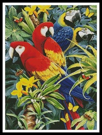 click here to view larger image of Tropical Macaws  (Howard Robinson) (chart)